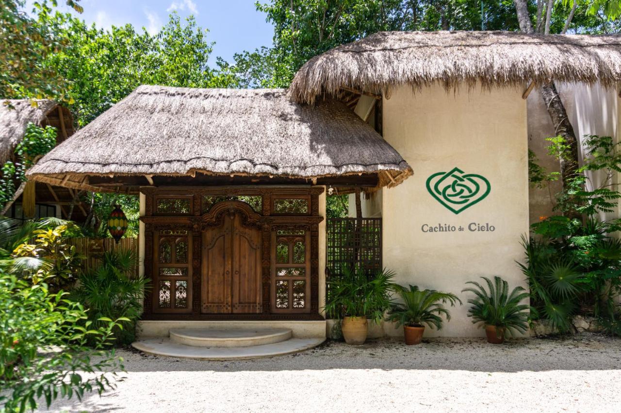 Cachito De Cielo Luxury Jungle Lodge 툴룸 외부 사진