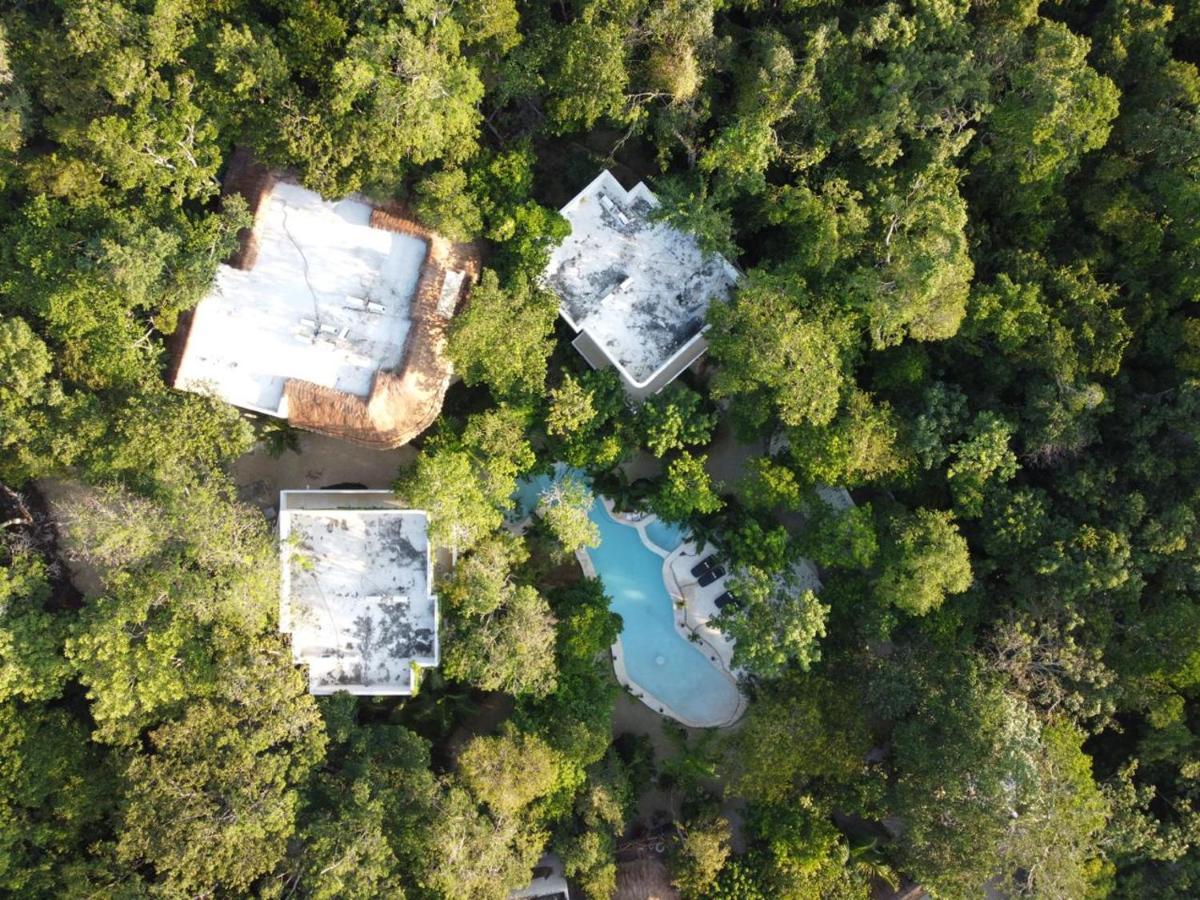 Cachito De Cielo Luxury Jungle Lodge 툴룸 외부 사진